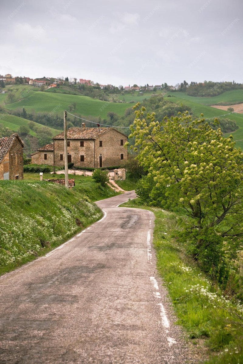 Guida a chicken road italia